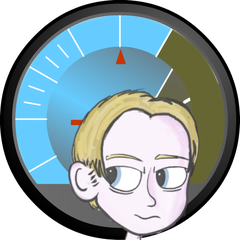 Mike - Designated Pilot Examiner logo